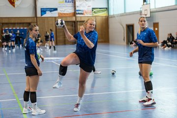 Bild 223 - F HSG Kremperheide/Muensterdorf - HSG Holstein Kiel/Kronshagen : Ergebnis: 31:26